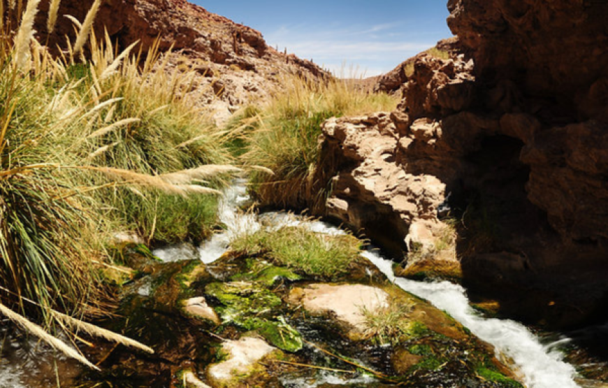 Termas de Purilibre