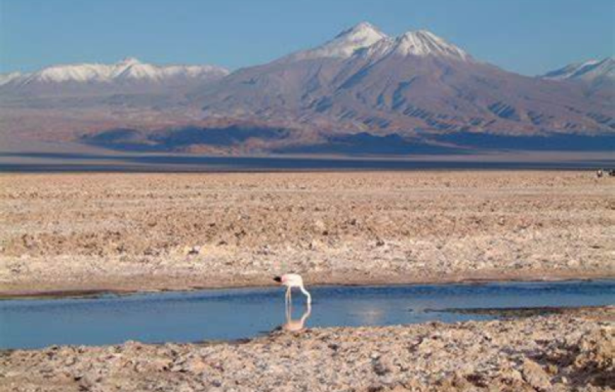 Laguna Cejar, Ojos del Salar y Laguna Tebinquinche