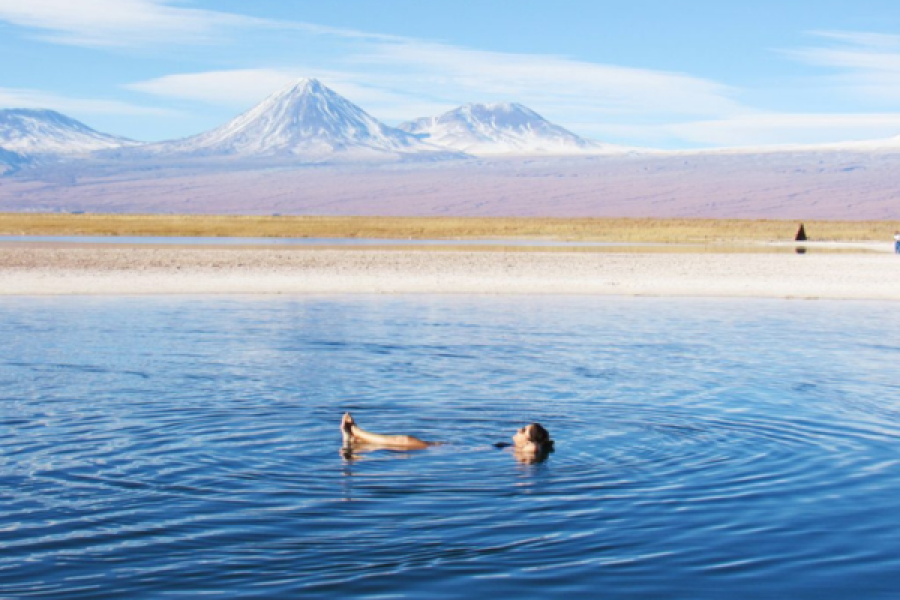 Laguna Cejar, Ojos del Salar y Laguna Tebinquinche