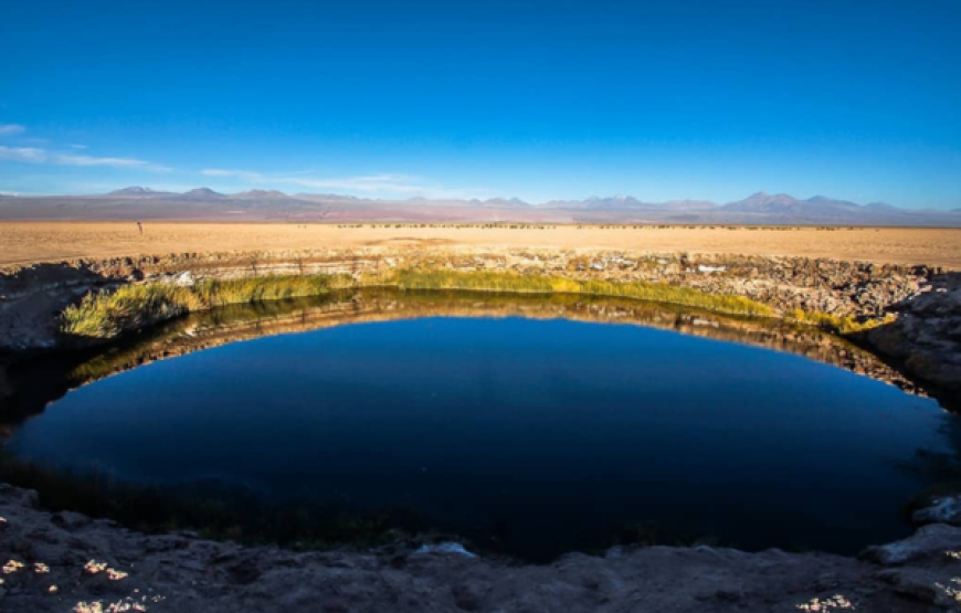 Laguna Cejar, Ojos del Salar y Laguna Tebinquinche