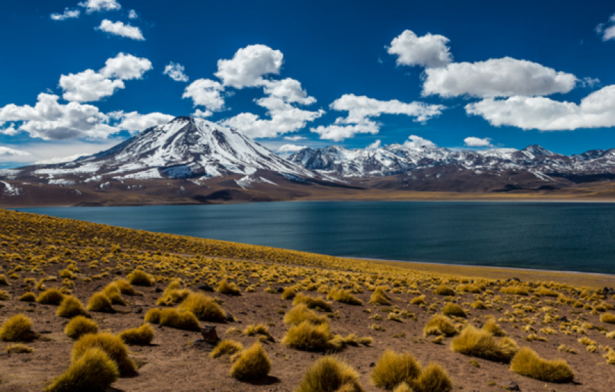 Piedras Rojas y Lagunas Altiplánicas