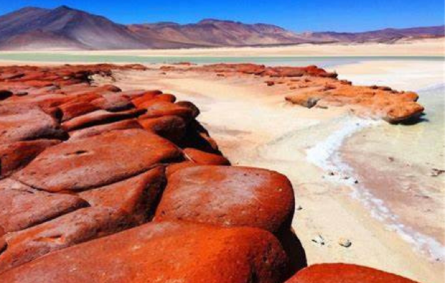 Piedras Rojas y Lagunas Altiplánicas